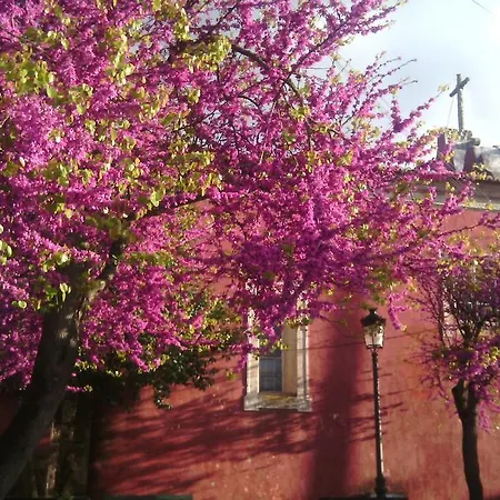 Casa Dos Vargos Отель типа 