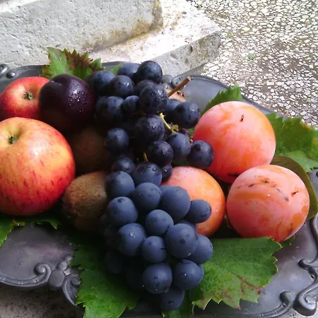 Casa Dos Vargos Torres Novas