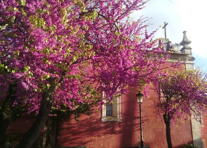 Casa Dos Vargos B&B 토레스노봐스
