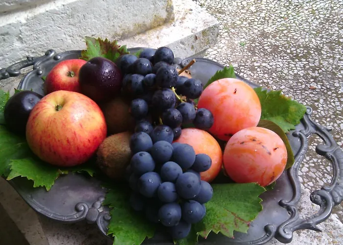 Casa Dos Vargos 托雷斯诺瓦斯